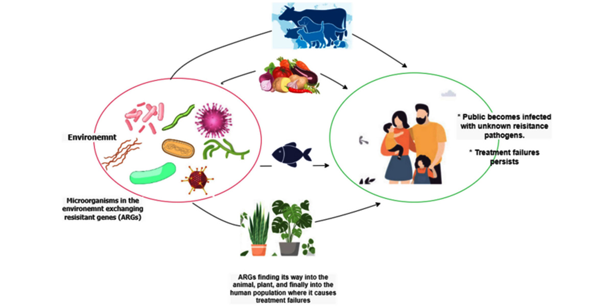 L'impasse des antibiotiques : Quand nos traitements de première ligne cessent d'obéir